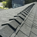 Asphalt Shingle Maintenance