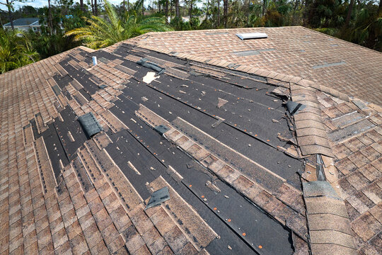 Wind Damage Roof Shingles